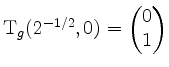 $ \mathrm{T}_g(2^{-1/2},0) = \begin{pmatrix}0 \\ 1\end{pmatrix}$