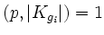 $ (p,\vert K_{g_i}\vert)=1$