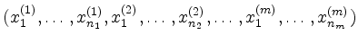$\displaystyle (x_1^{(1)},\ldots,x_{n_1}^{(1)},x_1^{(2)},\ldots,x_{n_2}^{(2)},\dots,x_1^{(m)},\ldots,x_{n_m}^{(m)})
$