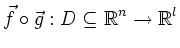 $\displaystyle \vec{f}\circ \vec{g}: D\subseteq {\mathbb{R}}^n \to {\mathbb{R}}^l
$