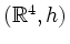 $ (\mathbb{R}^{4}, h)$