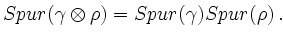 $\displaystyle Spur(\gamma \otimes \rho) = Spur (\gamma) Spur
(\rho) \,.$