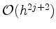 $ \mathcal{O}(h^{2j+2})$