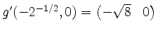 $ g'(-2^{-1/2},0) = \begin{pmatrix}-\sqrt{8}&0\end{pmatrix}$
