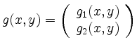 $ g(x,y)=\left(\begin{array}{c}g_1(x,y)\\ g_2(x,y)\end{array}\right)$