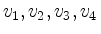 $ v_1, v_2, v_3, v_4$