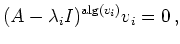 $\displaystyle (A - \lambda_i I)^{\operatorname{alg}(v_i)}v_i=0\,,$