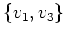 $ \{v_1,v_3\}$