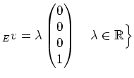 $\displaystyle _Ev=\lambda\begin{pmatrix}0 \\ 0 \\ 0 \\ 1 \end{pmatrix}\quad \lambda\in\mathbb{R}\Big{\}}$