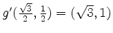 $ g'(\frac{\sqrt 3}{2},\frac{1}{2}) = (\sqrt{3}, 1)$
