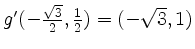 $ g'(-\frac{\sqrt 3}{2},\frac{1}{2}) = (-\sqrt{3}, 1)$