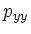 $\displaystyle p_{yy}$