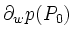 $\displaystyle \partial_{w} p(P_0)$