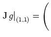 $ \left.\operatorname{J} g\right\vert _{(1,1)} = \left(\rule{0cm}{4ex}\right.$