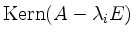 $ \operatorname{Kern }(A - \lambda_i E)$